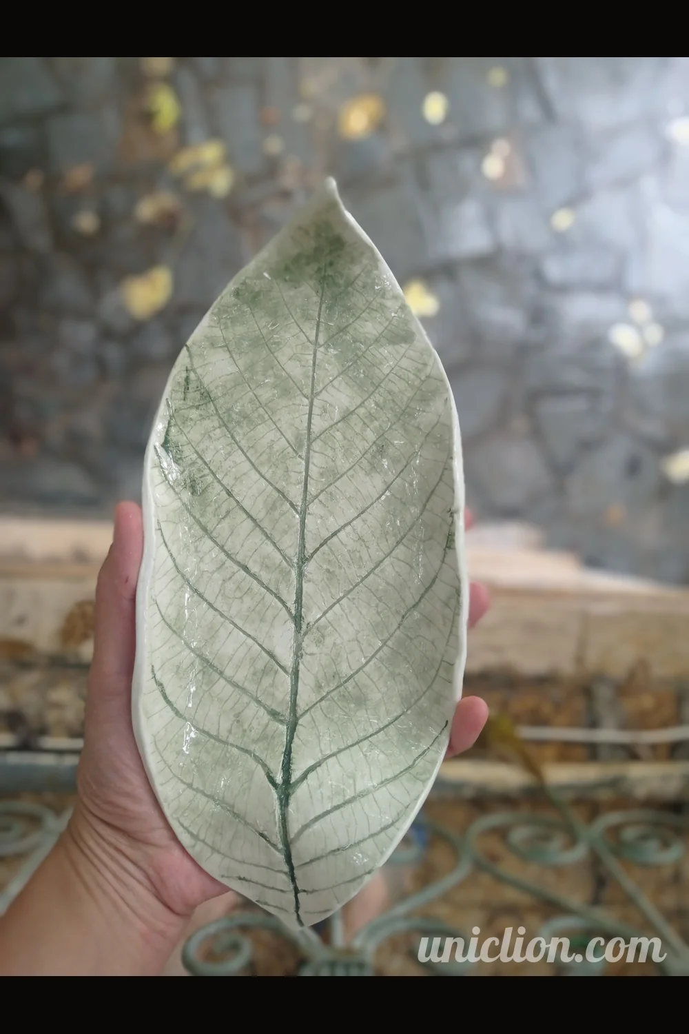 Jouval Plate