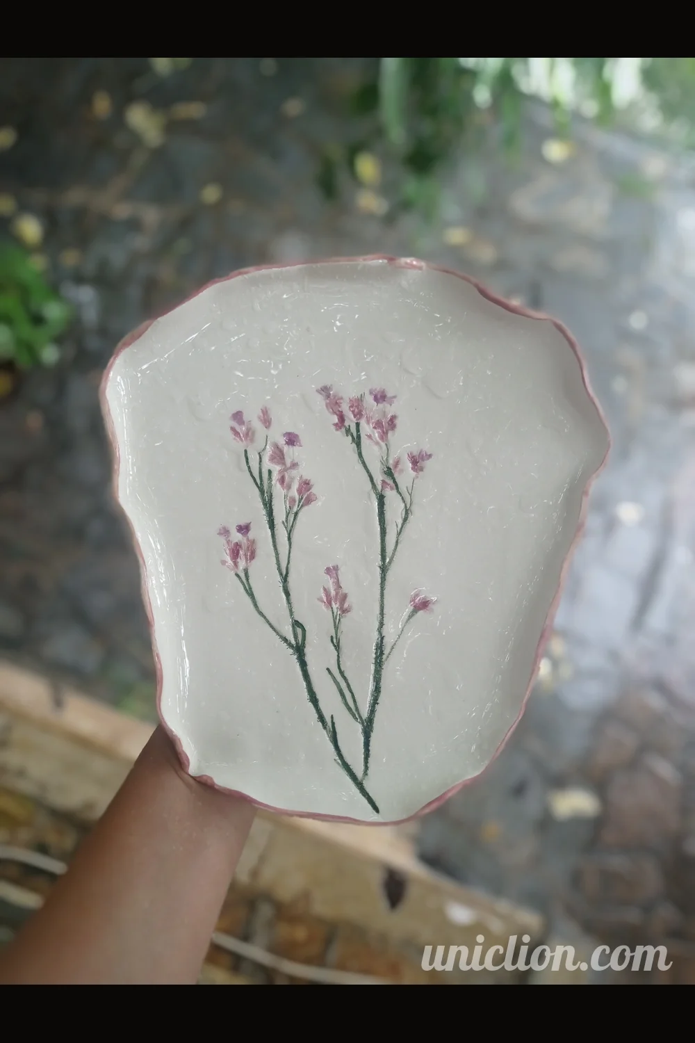 Borago Plate