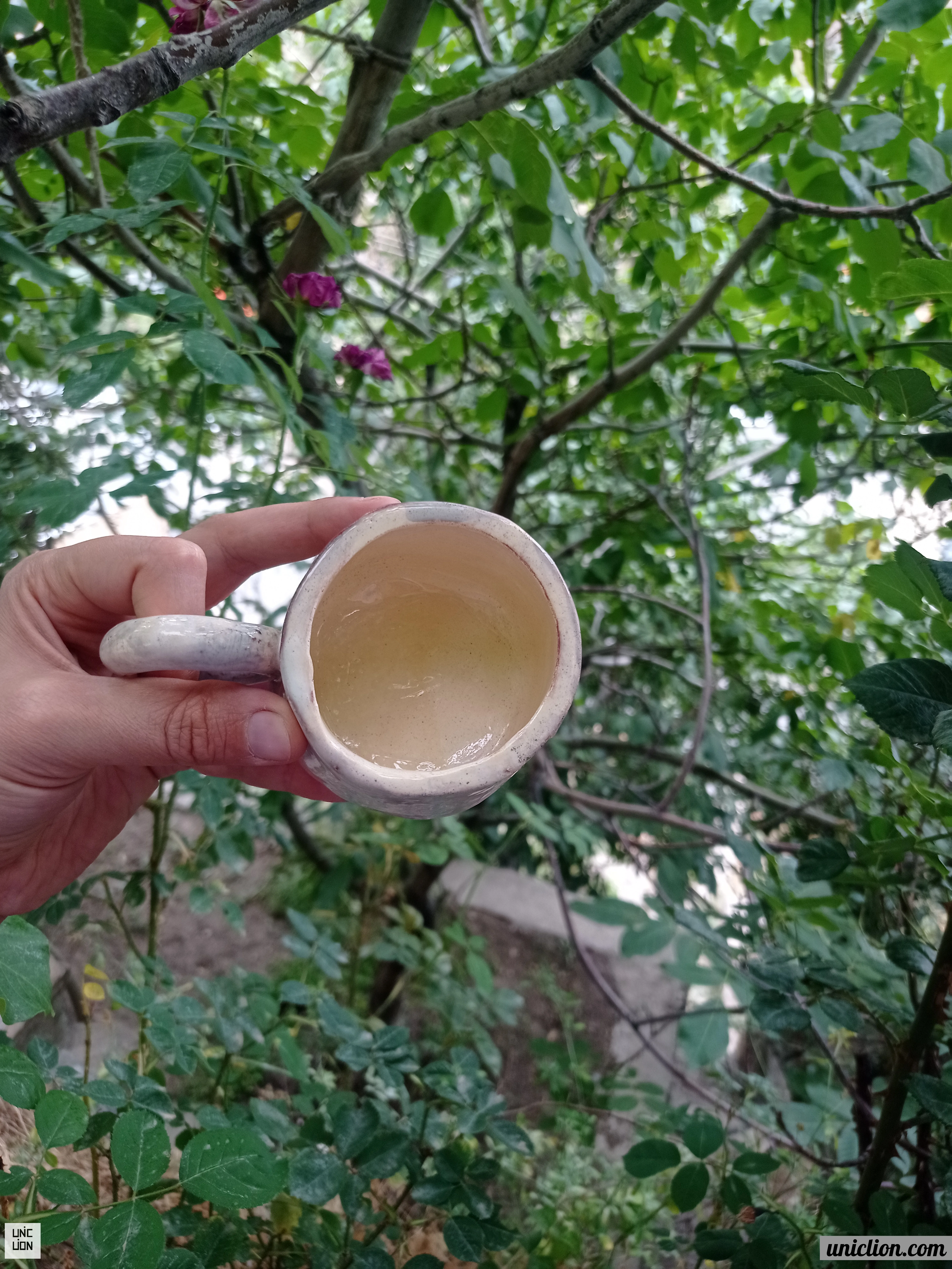 Vita Mug