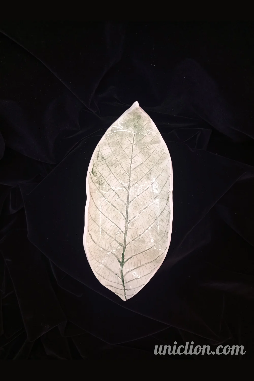 Jouval Plate